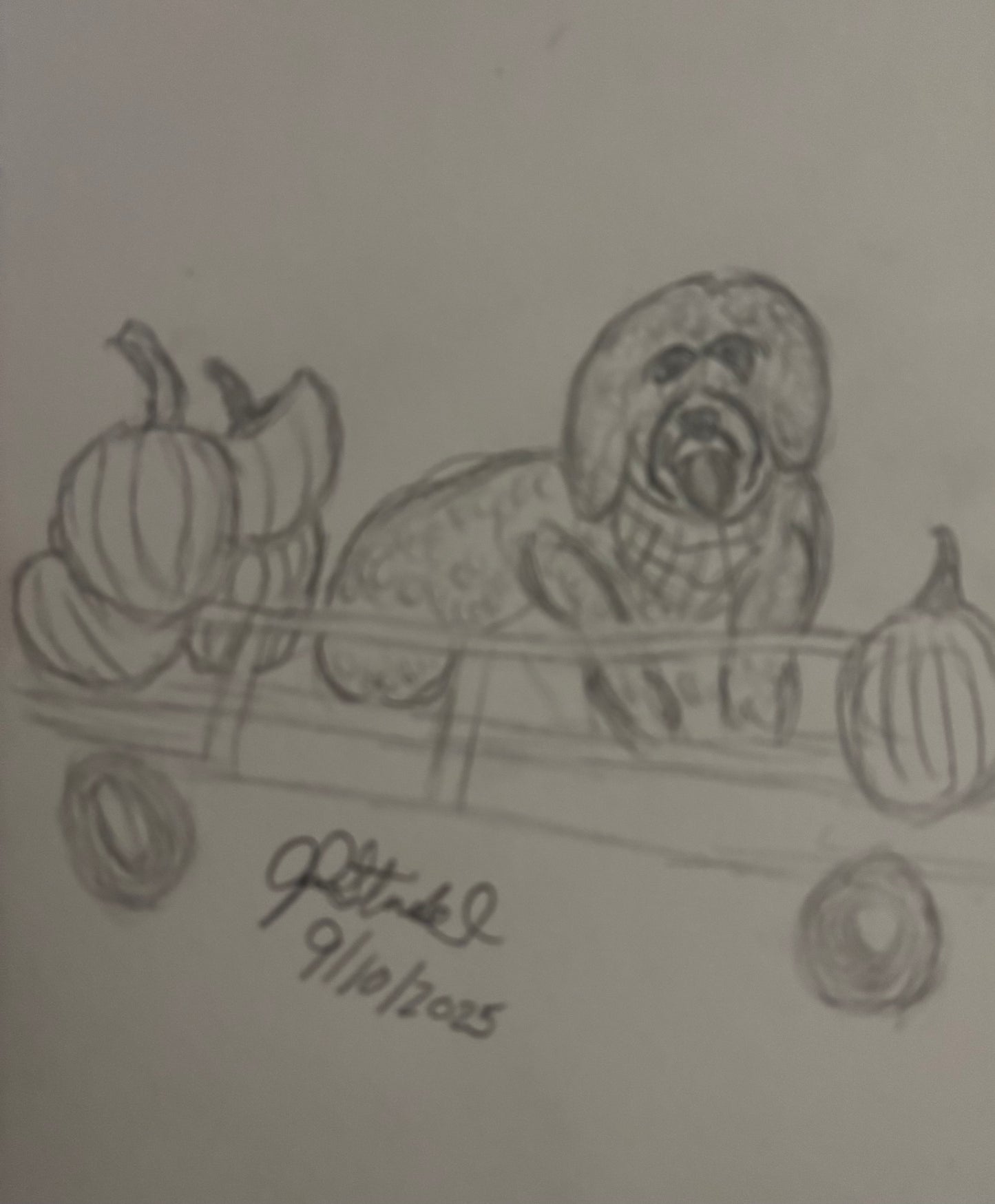 Fall Sketch Art
